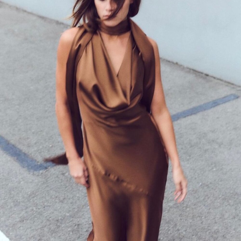 NWT Zara Brown Scarf Dress